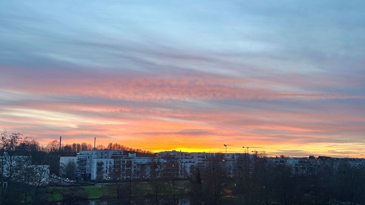 Photo of Others in Torcy-le-Grand