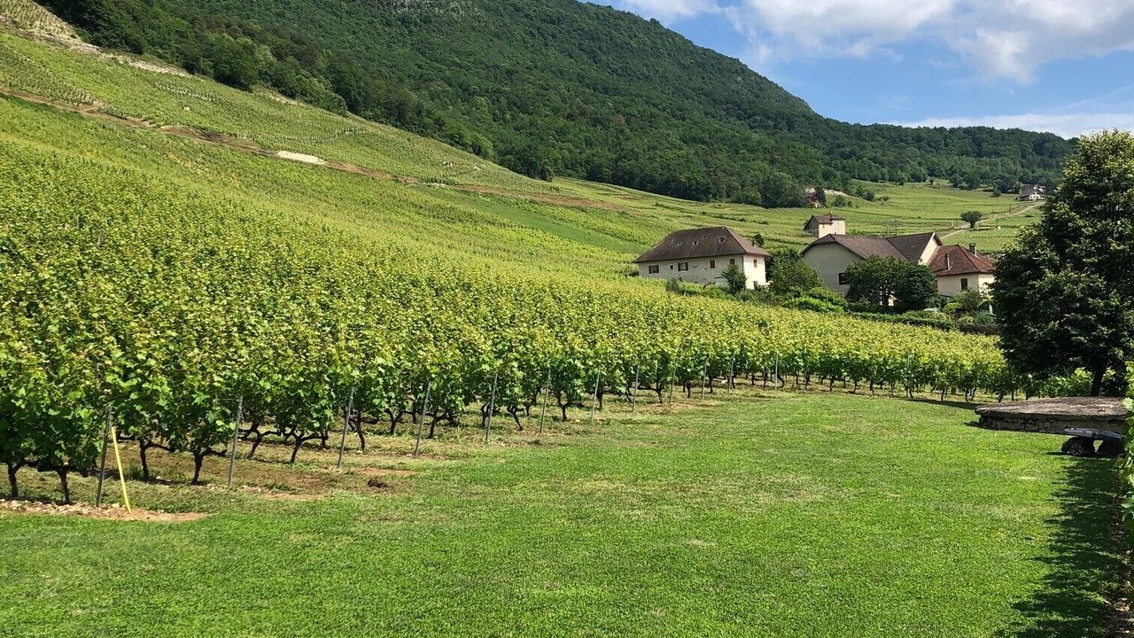 Photo of Others in Jongieux