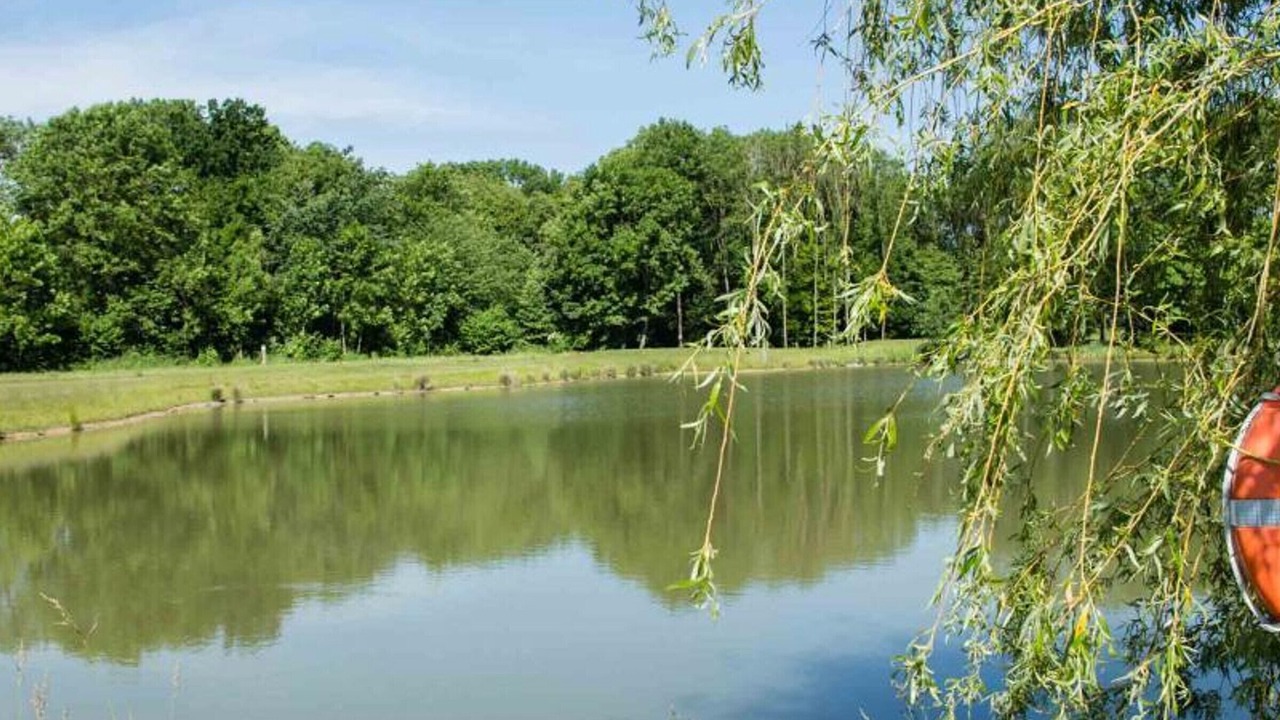 Photo of Others in Merignies