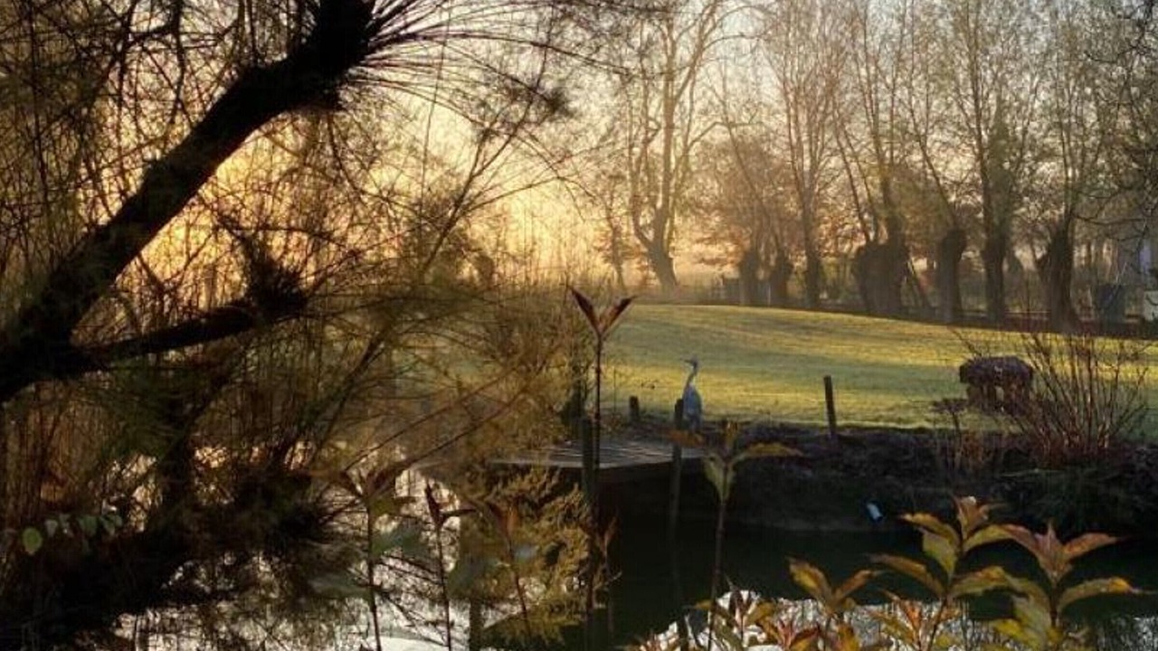 Photo of Outdoor in Merignies