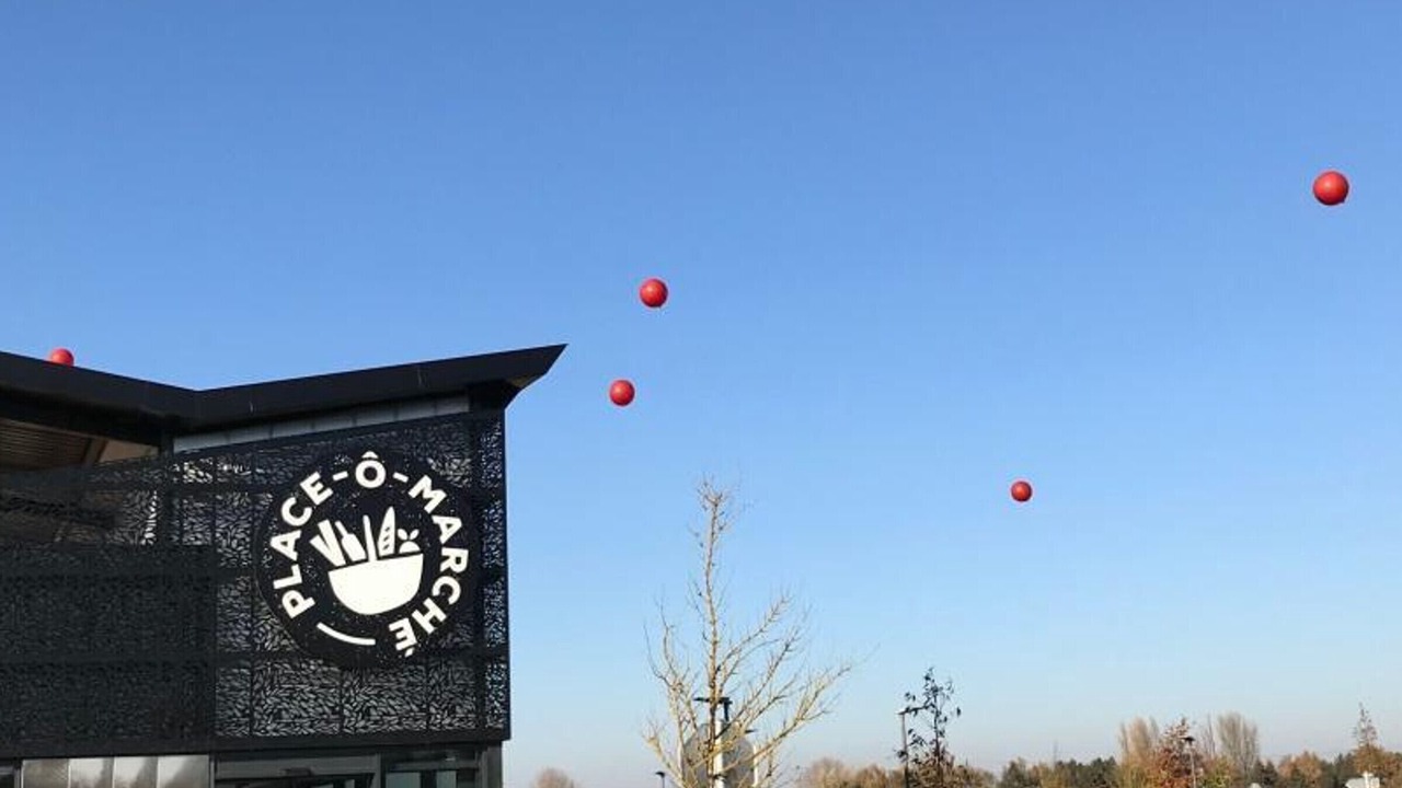 Photo of Others in Merignies