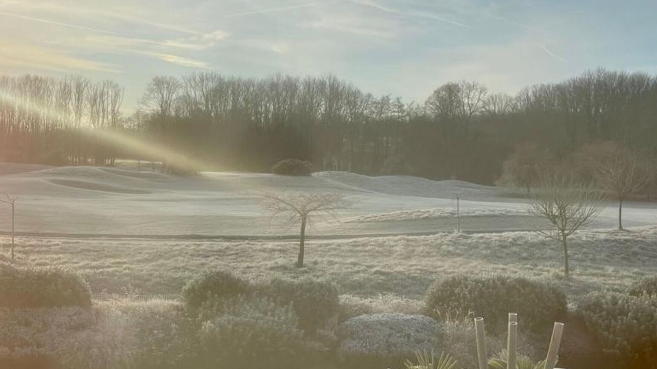 Photo of Others in Merignies