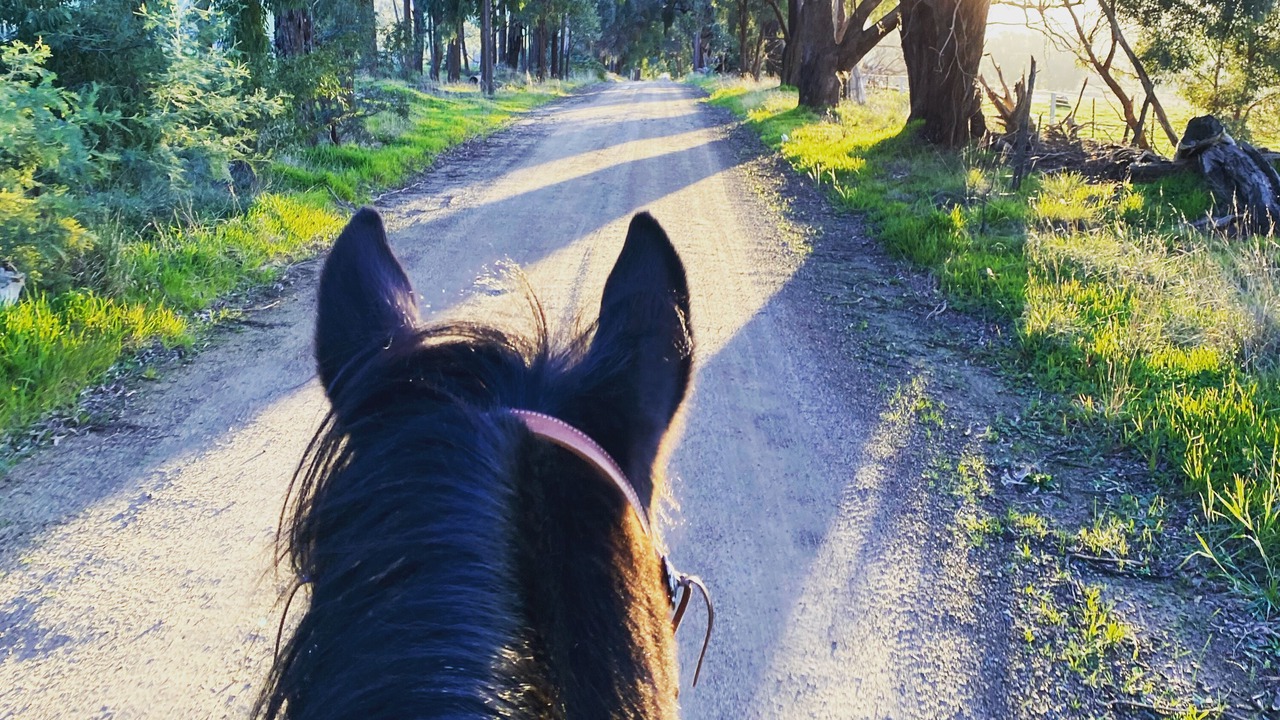 Photo of Others in Lima East