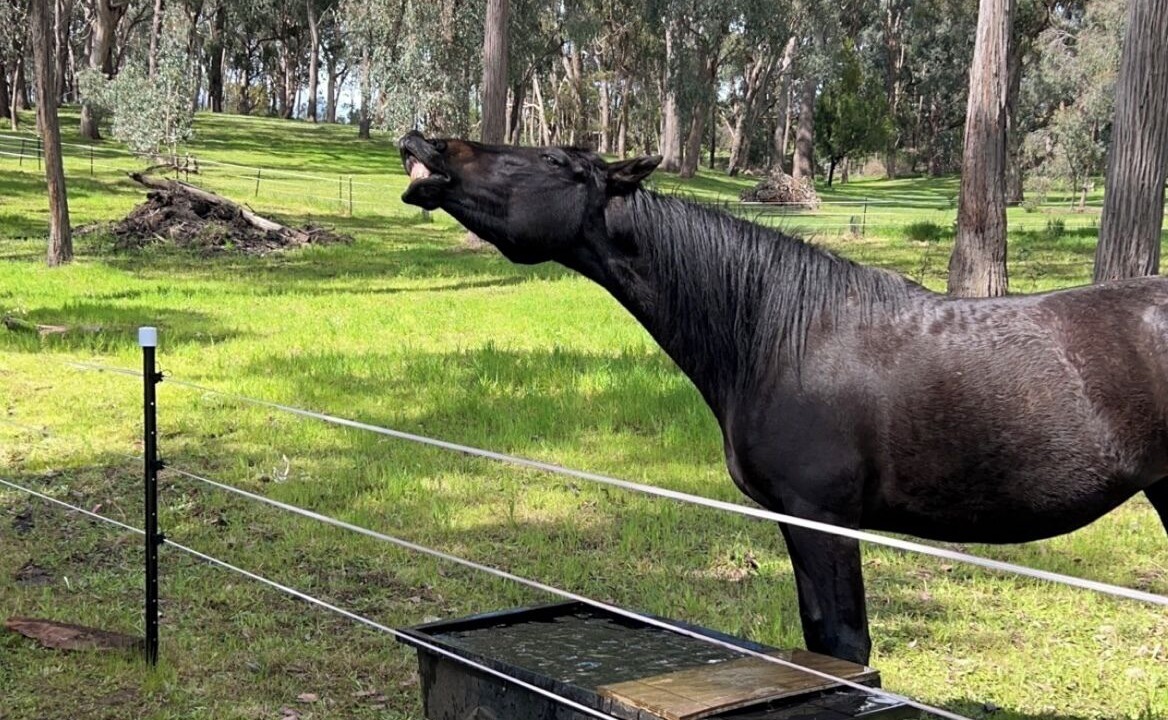 Photo of Others in Lima East