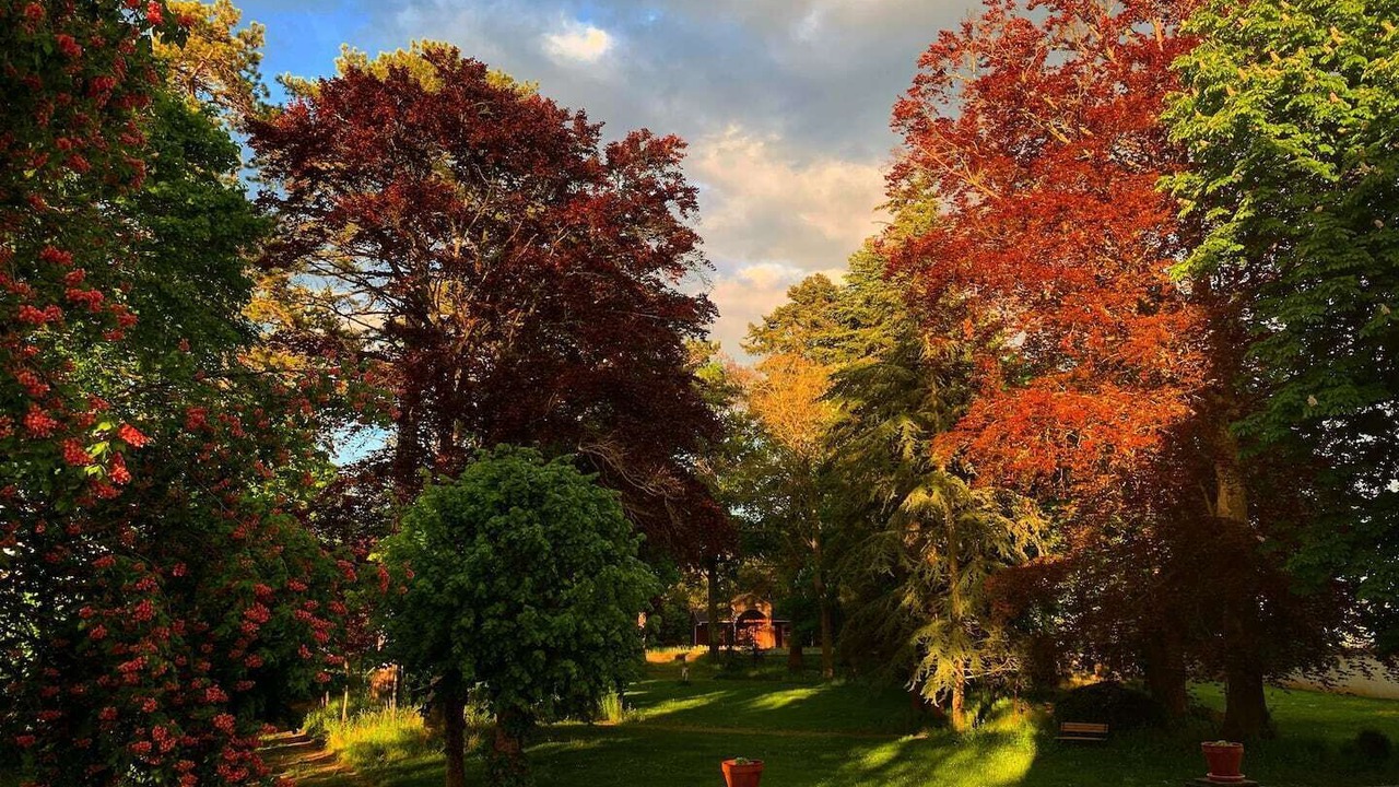 Photo of Outdoor in Ligny-le-Chatel
