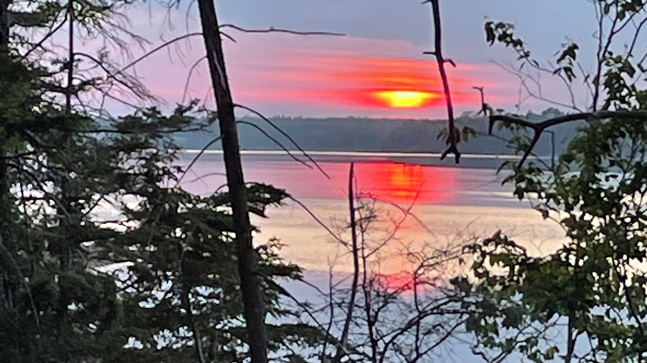 Photo of Outdoor in Cardigan