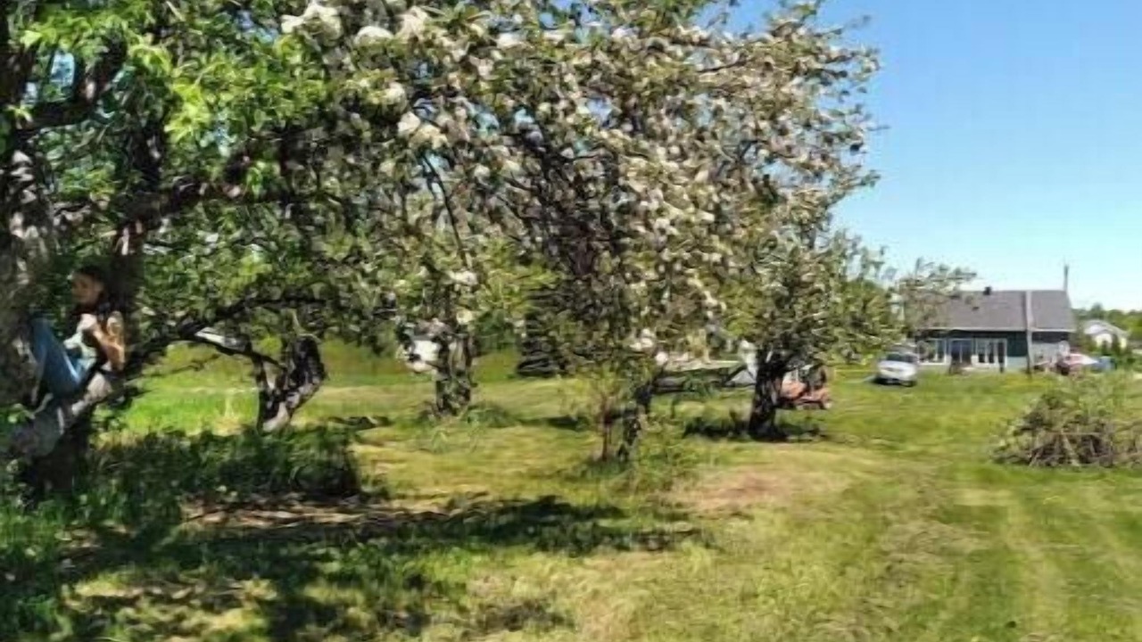 Photo of Outdoor in Gloucester County
