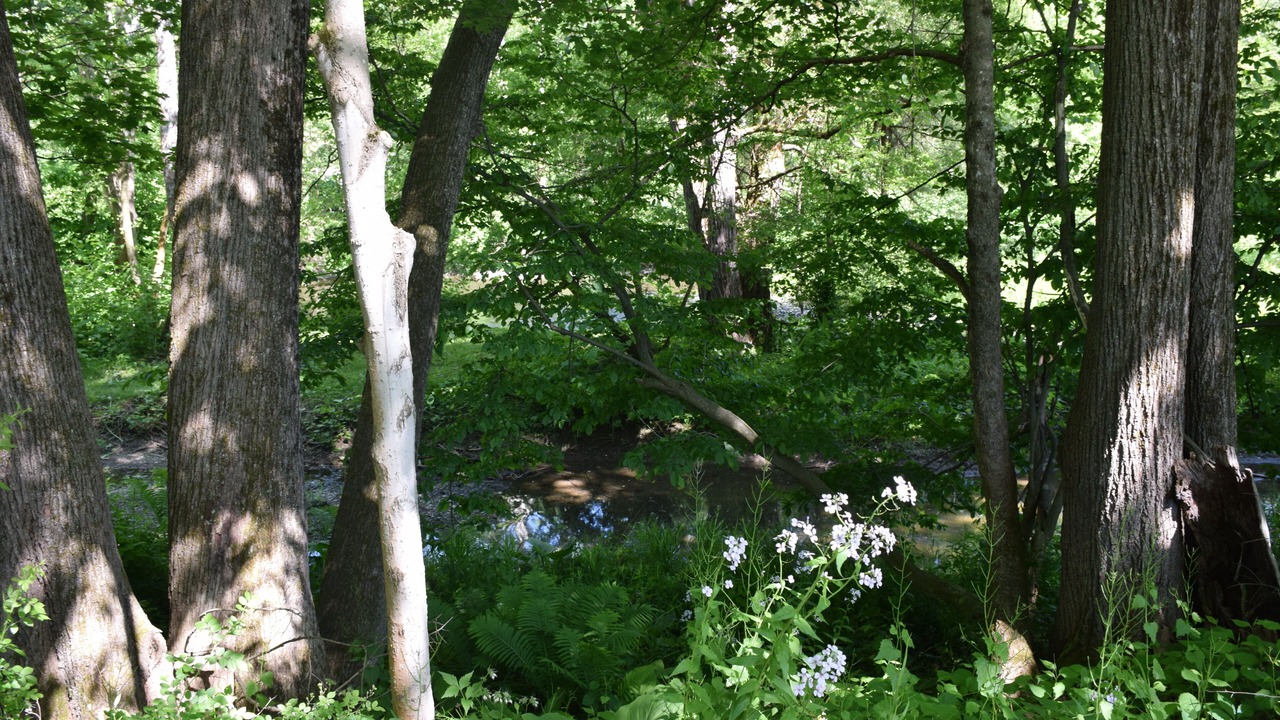 Photo of Others in Newark Valley