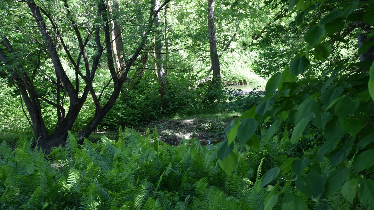 Photo of Others in Newark Valley