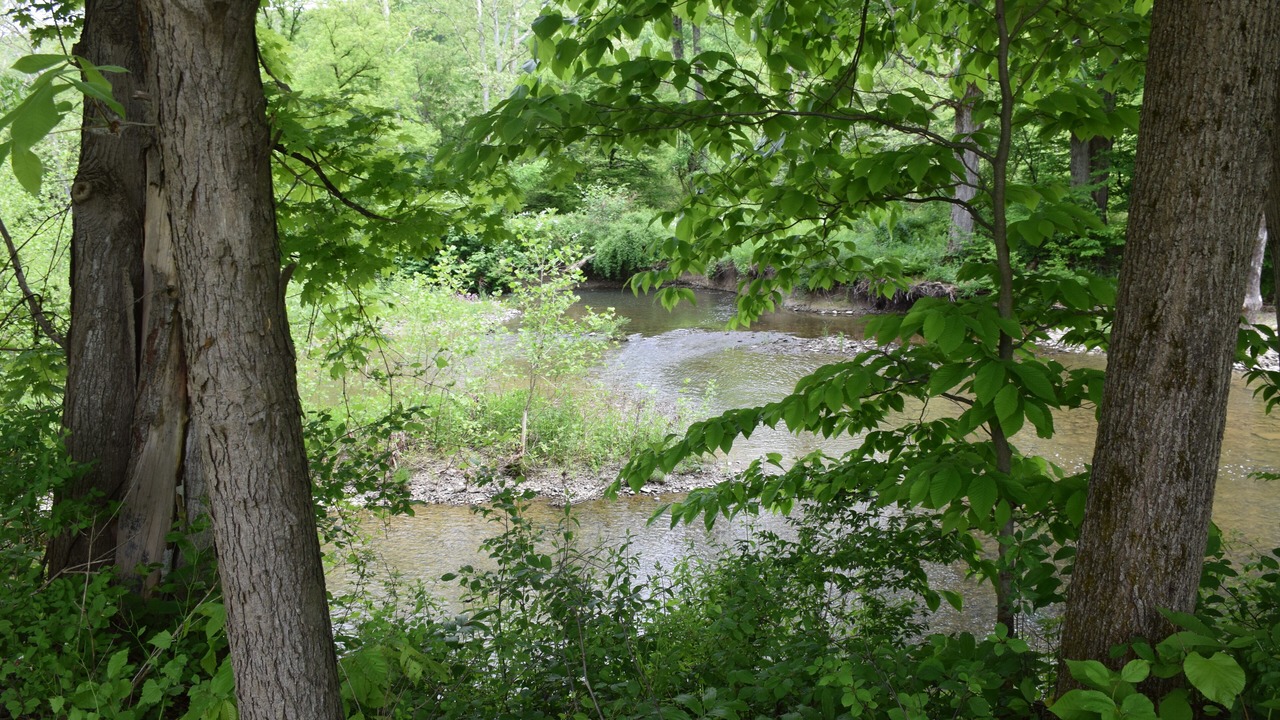 Photo of Others in Newark Valley