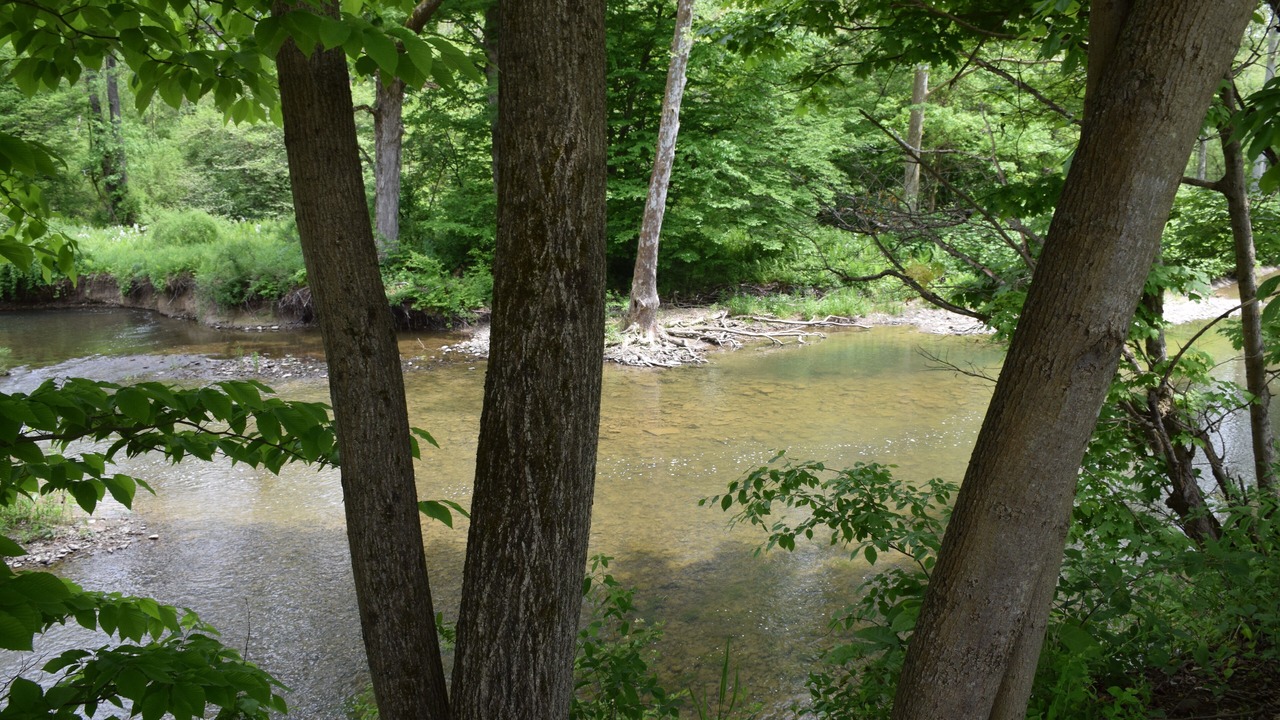 Photo of Others in Newark Valley