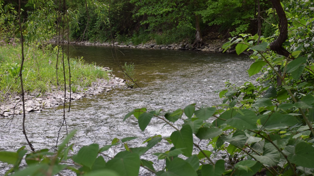 Photo of Others in Newark Valley