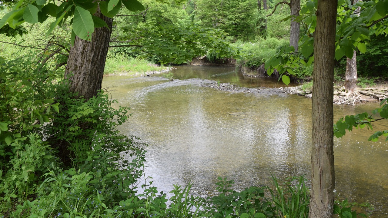 Photo of Others in Newark Valley