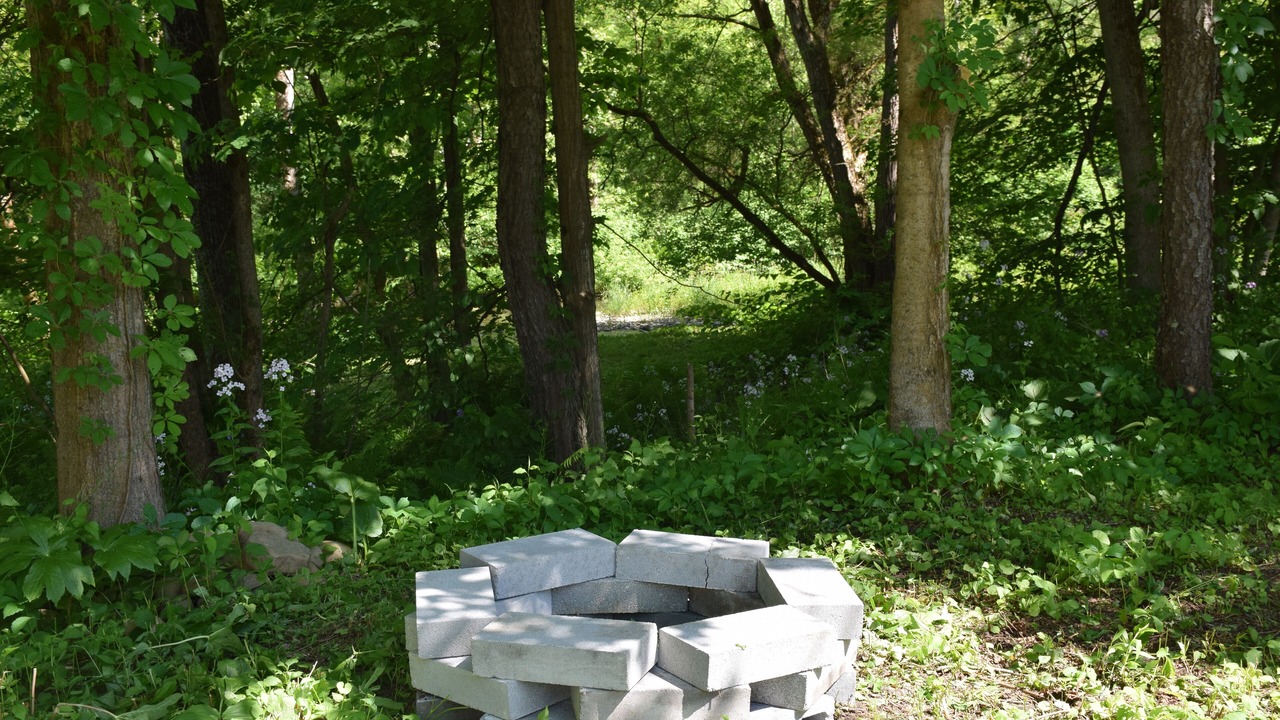 Photo of Others in Newark Valley