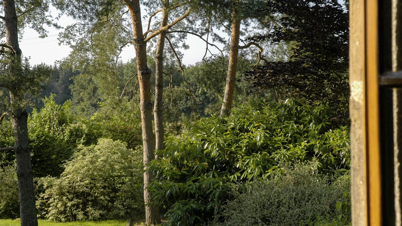 Photo of Outdoor in Le Fete