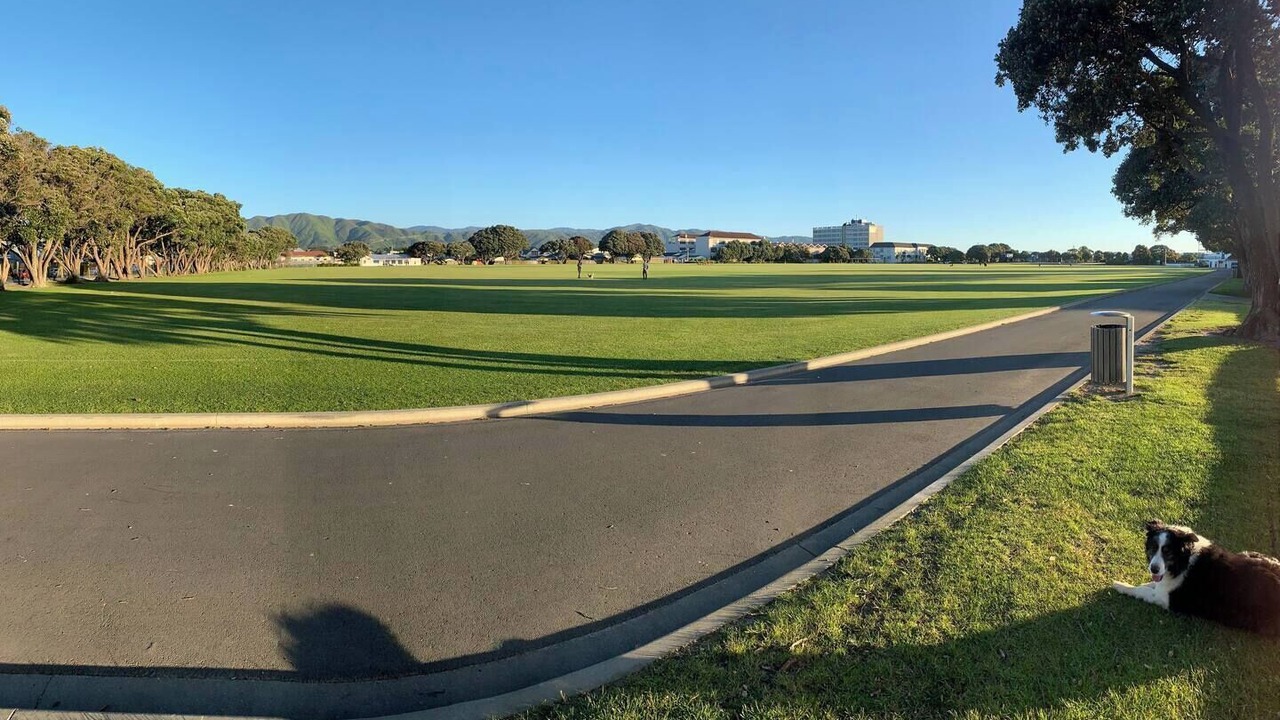 Photo of Others in Petone