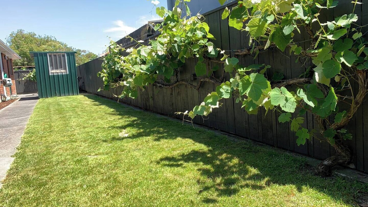 Photo of Outdoor in Petone
