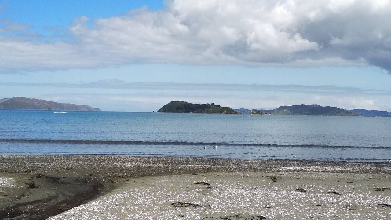 Photo of Others in Petone