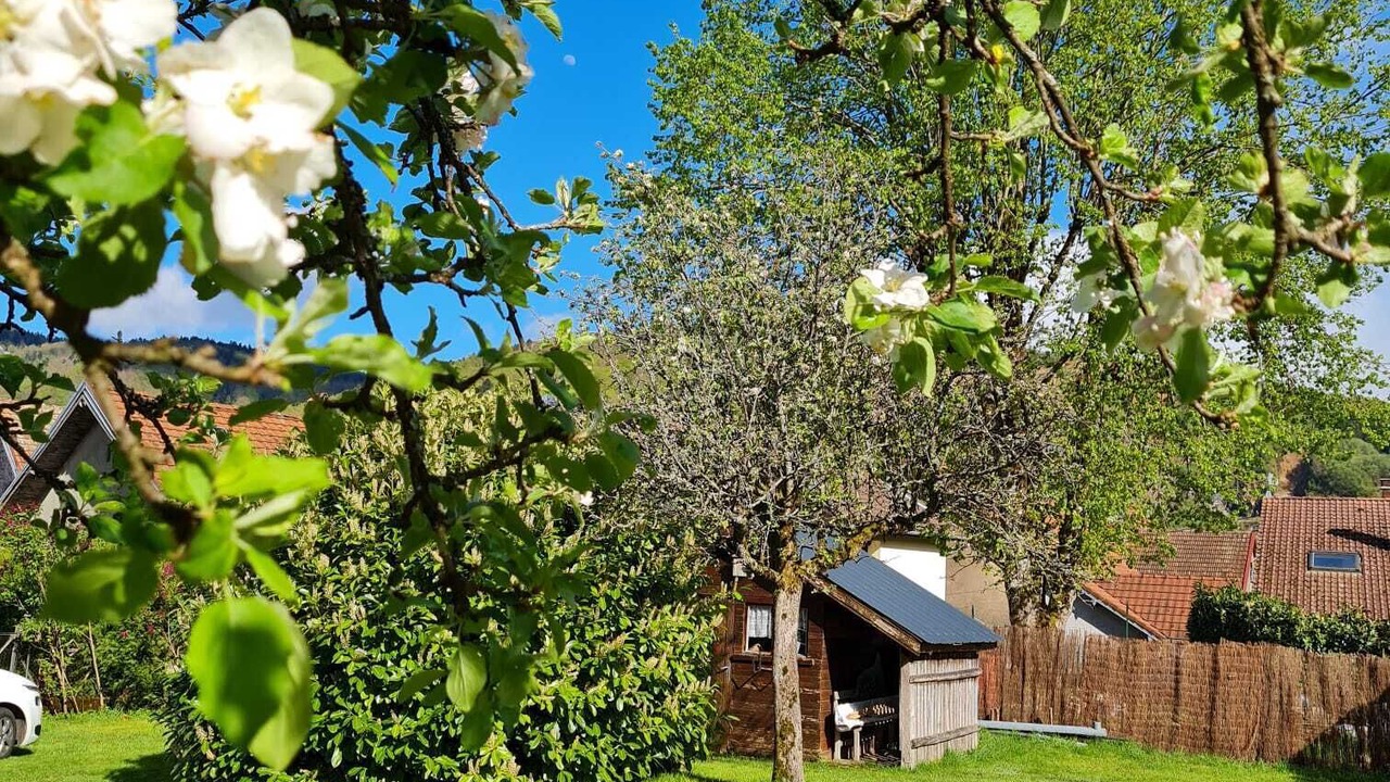 Photo of Outdoor in Lepuix
