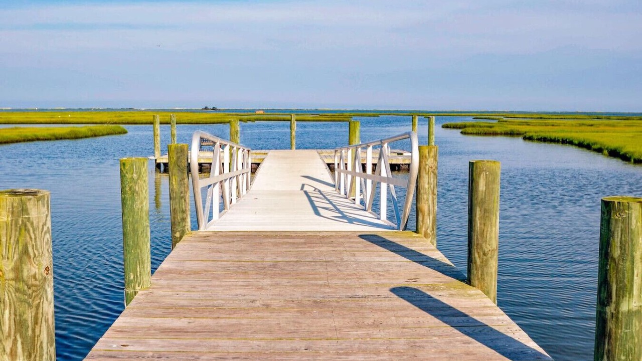 Photo of Others in Bayside