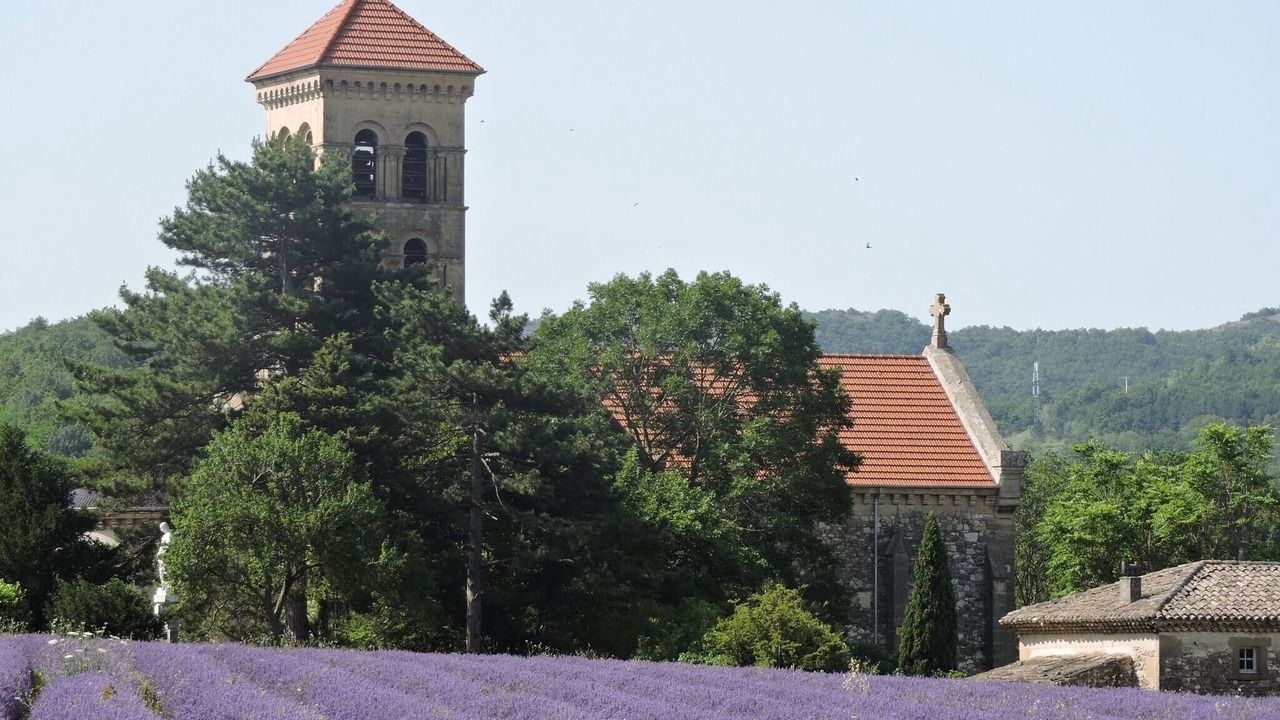 Photo of Others in Divajeu