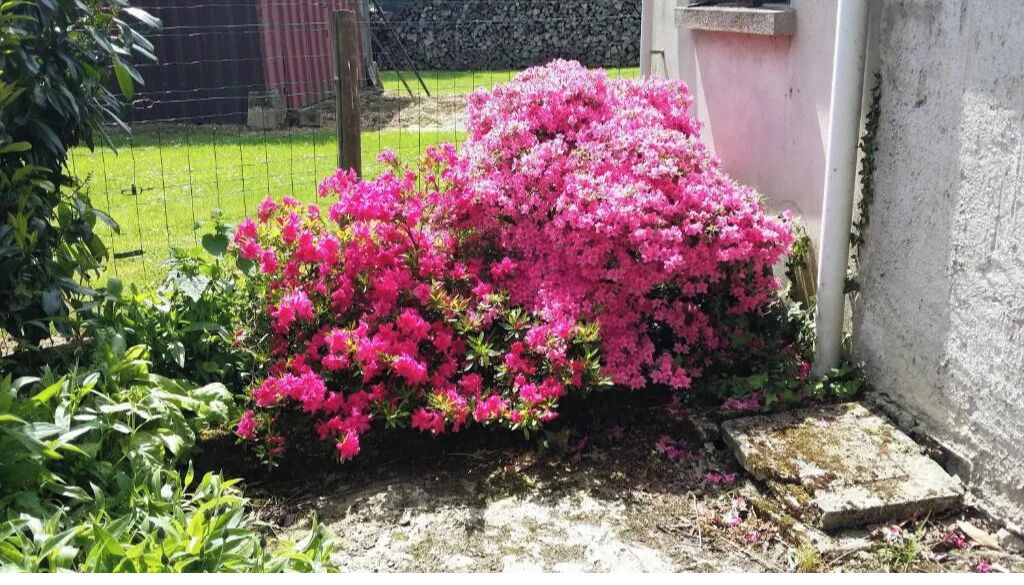 Photo of Outdoor in Jouy-sur-Morin