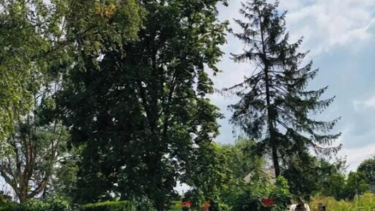 Photo of Outdoor in Jouy-sur-Morin