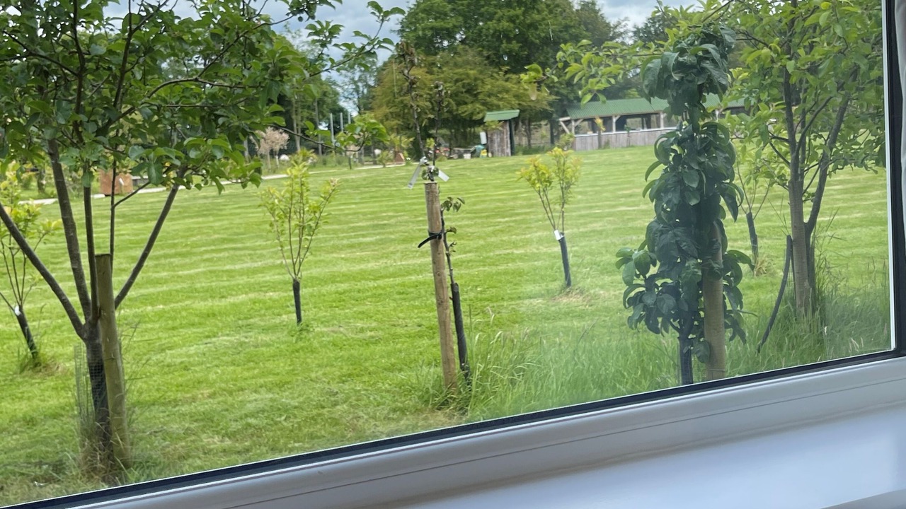 Photo of Outdoor in Lower Dicker