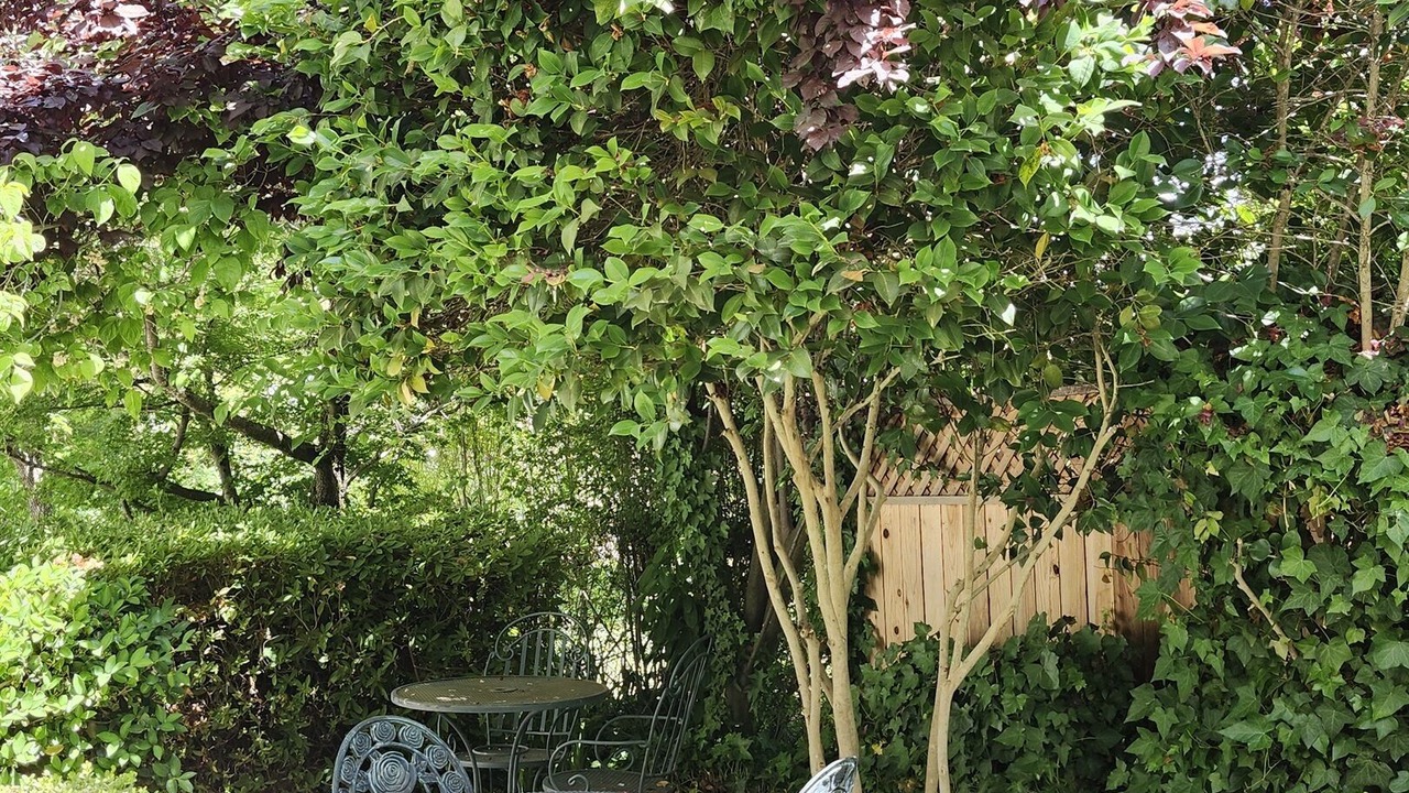 Photo of Outdoor in Sutter Creek