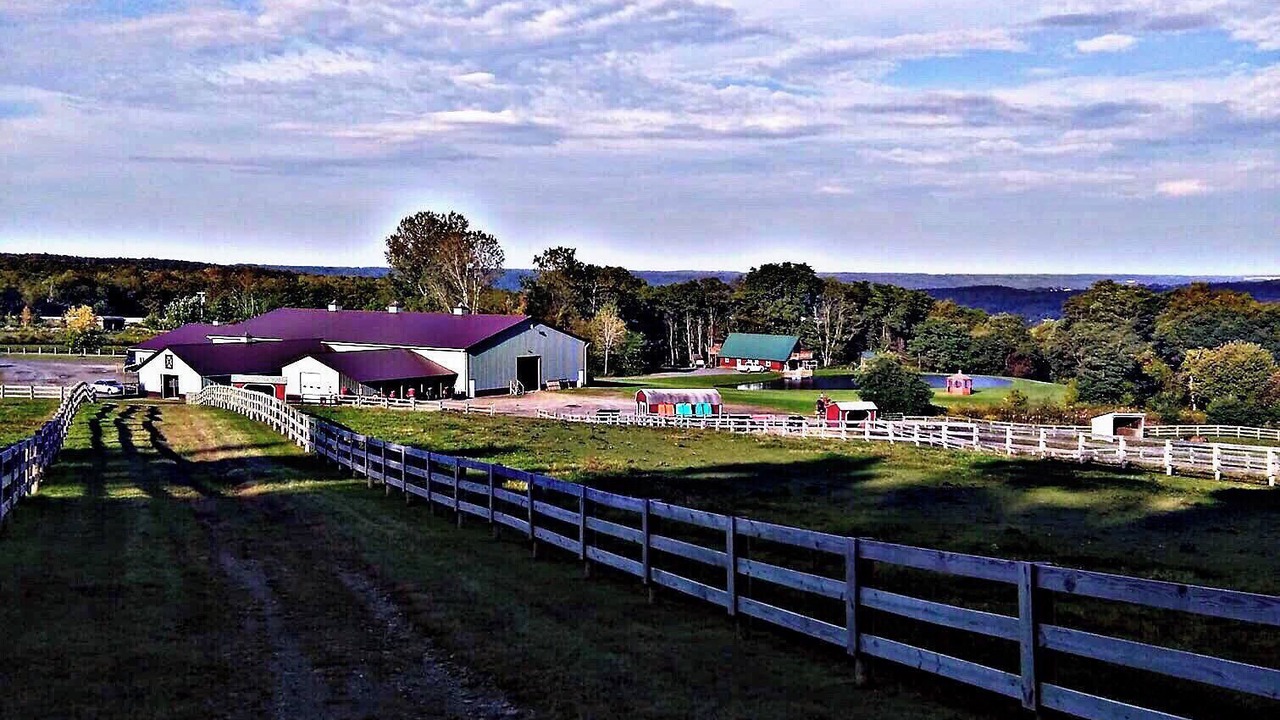 Photo of Outdoor in Town of Sempronius
