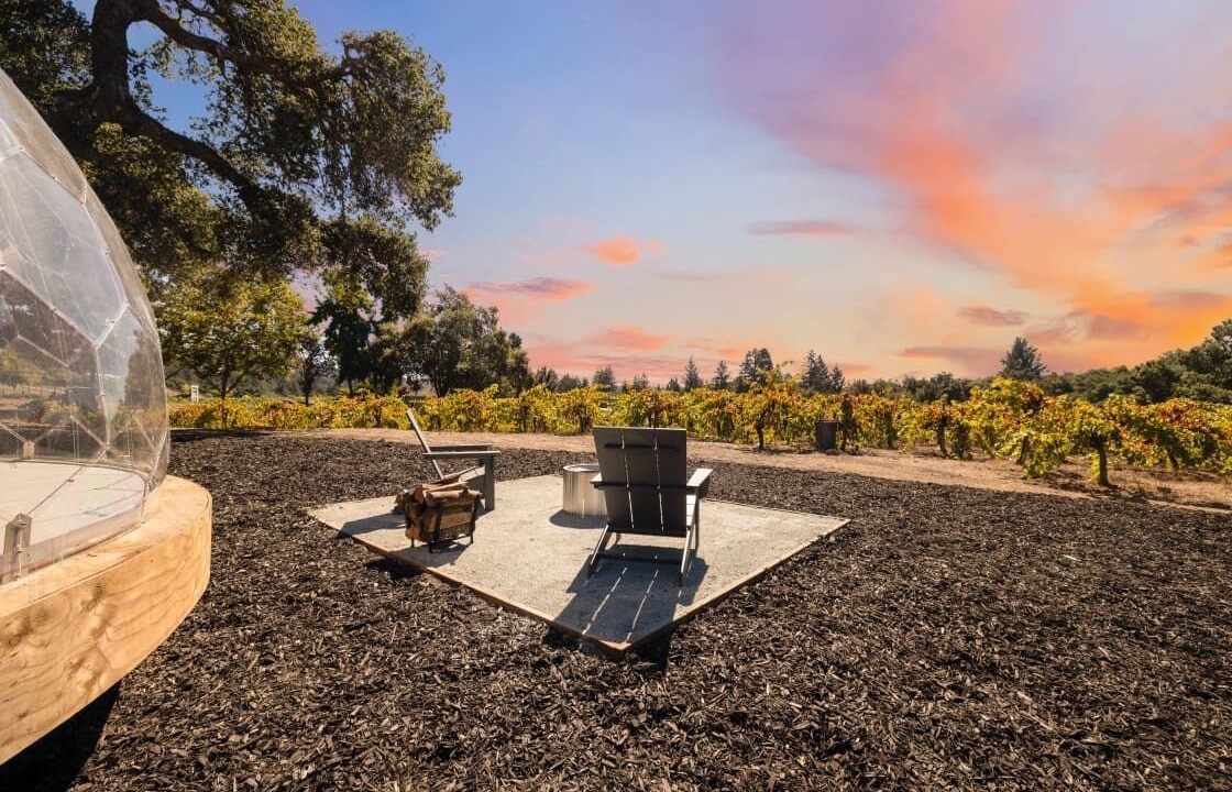 Photo of Outdoor in Felton