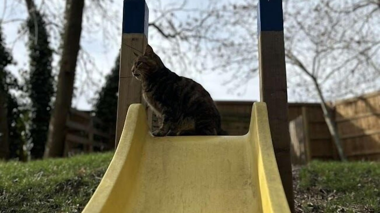 Photo of Outdoor in West Malling