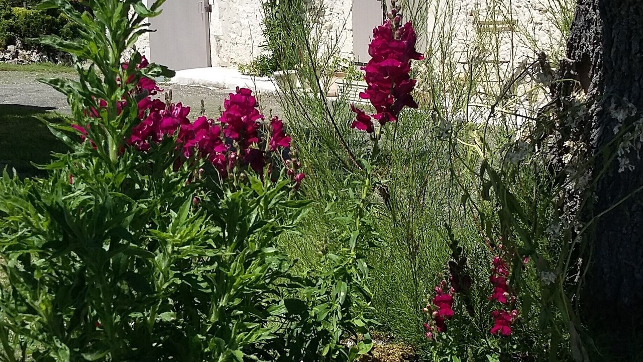 Photo of Outdoor in Montaigu-de-Quercy