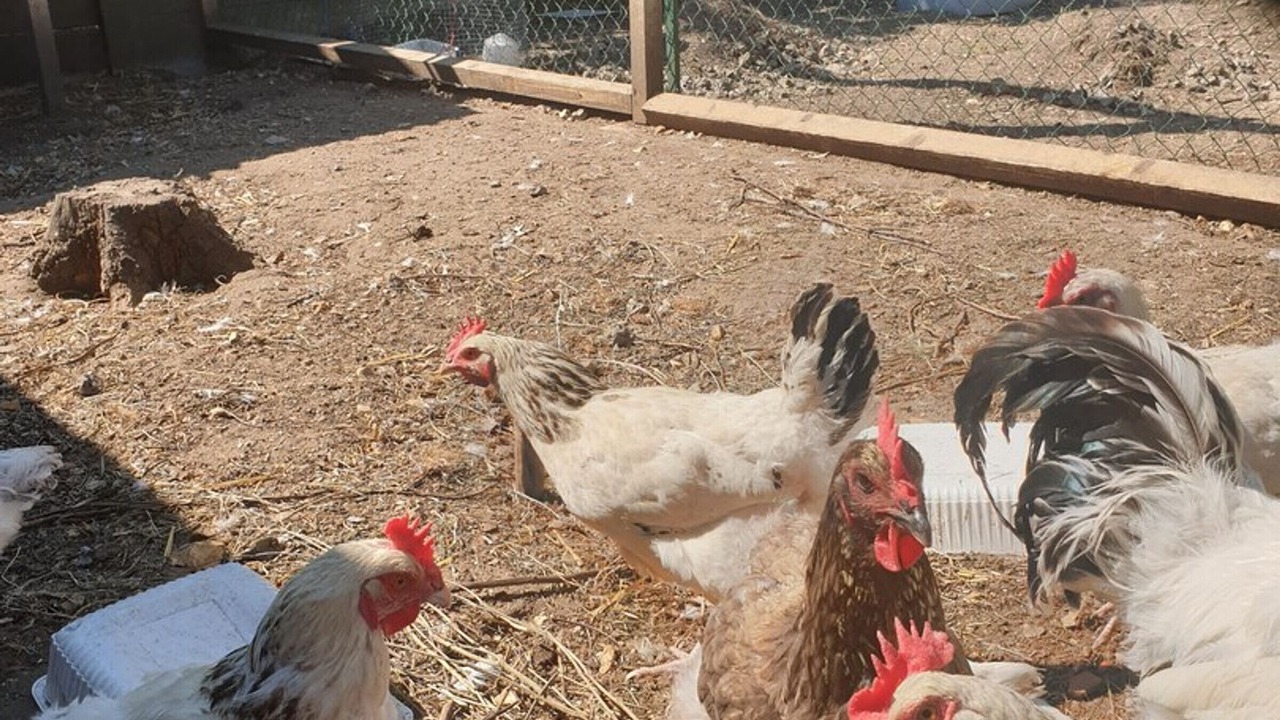 Photo of Others in Argenteuil