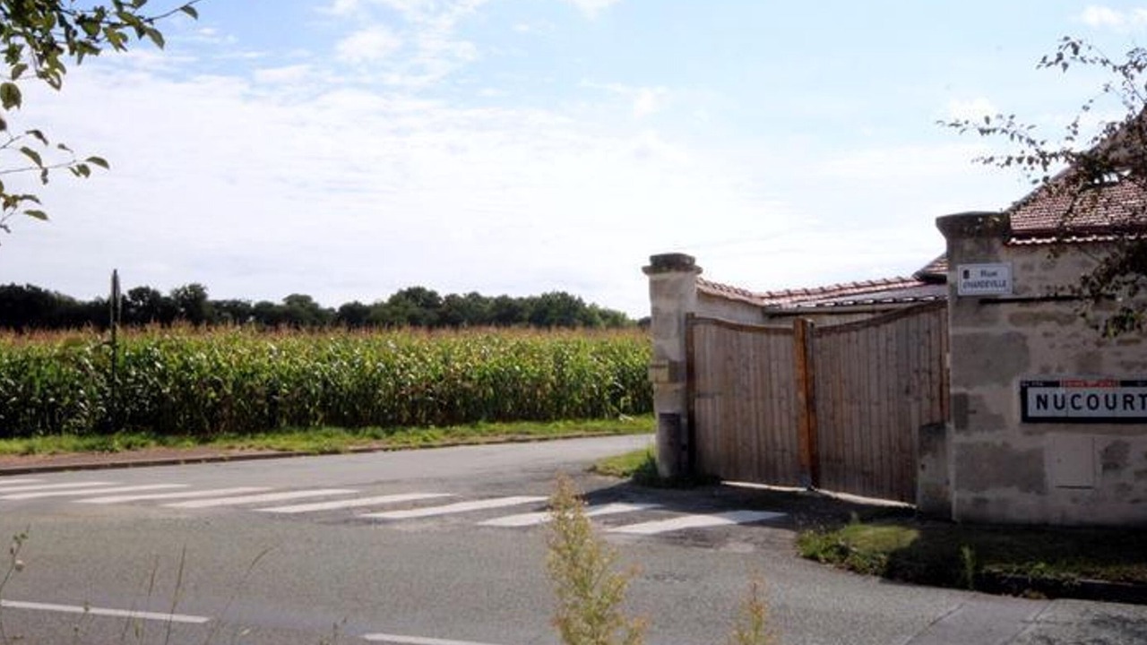 Photo of Others in Nucourt