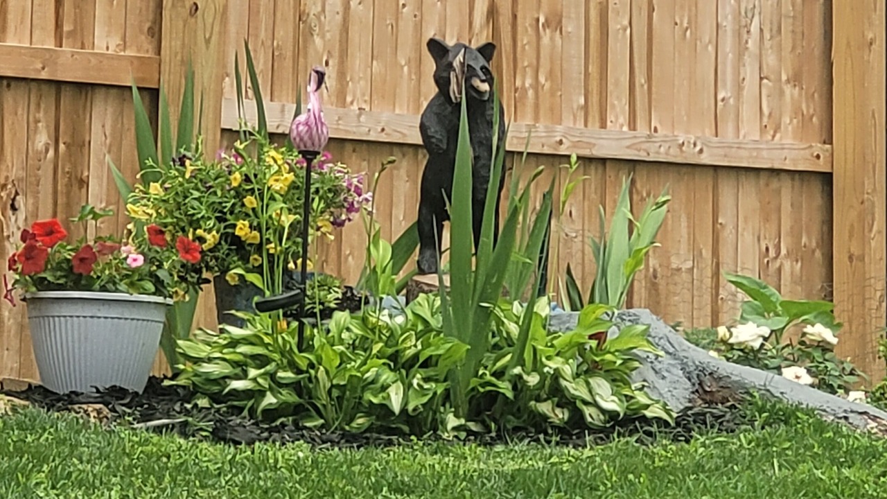 Photo of Outdoor in Bennington