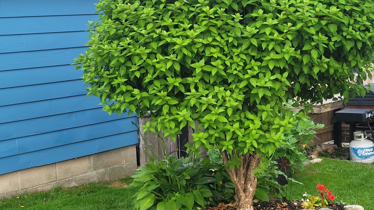 Photo of Outdoor in Bennington