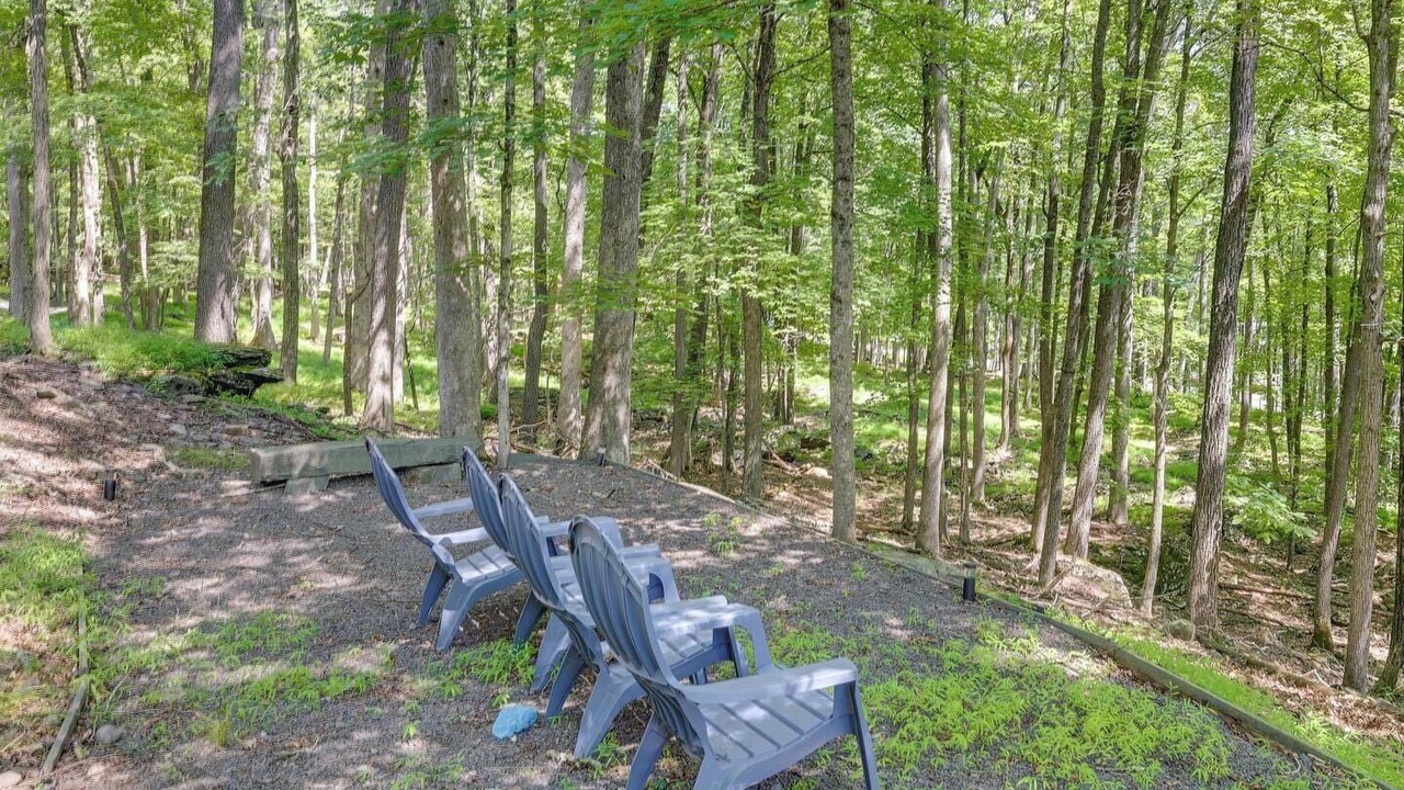 Photo of Outdoor in Lackawaxen