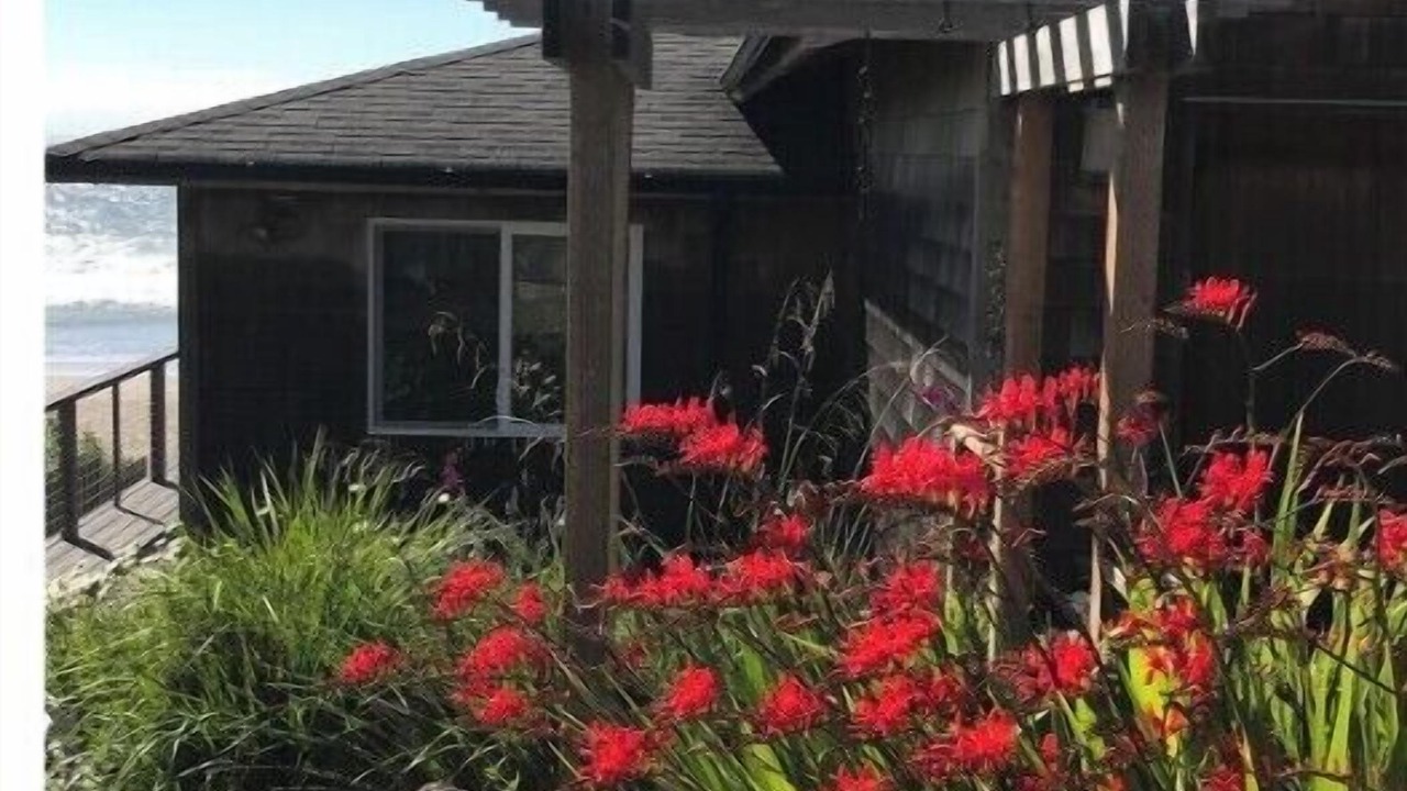 Photo of Outdoor in Lincoln Beach