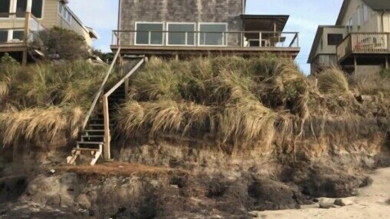 Photo of Outdoor in Lincoln Beach