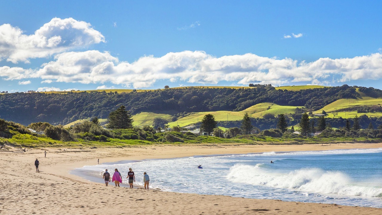 Photo of Others in Werri Beach