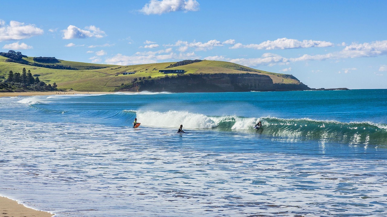 Photo of Others in Werri Beach