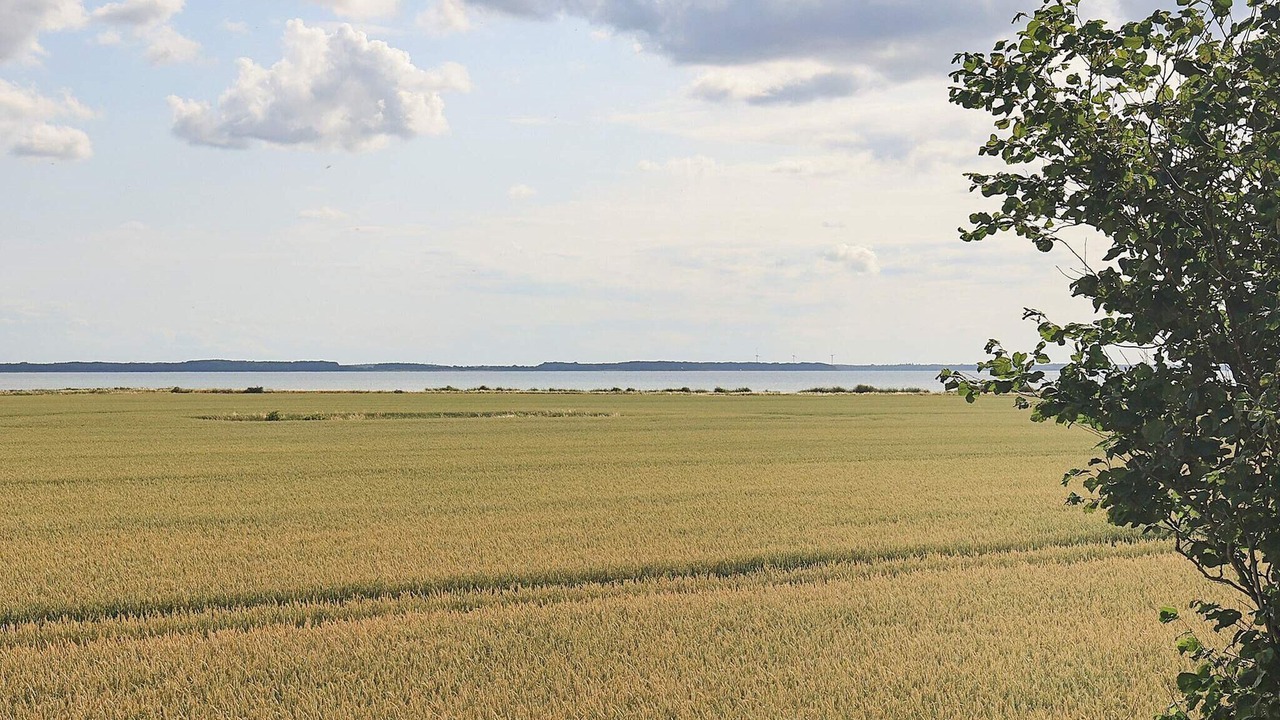 Photo of Others in Guldborg