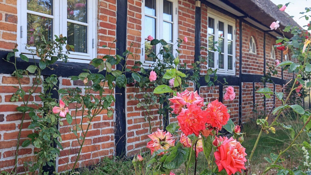 Photo of Outdoor in Guldborg