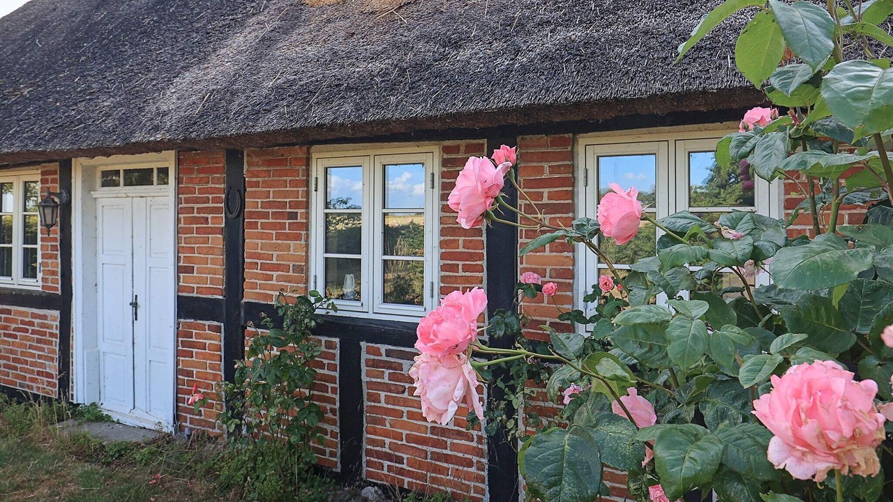 Photo of Outdoor in Guldborg