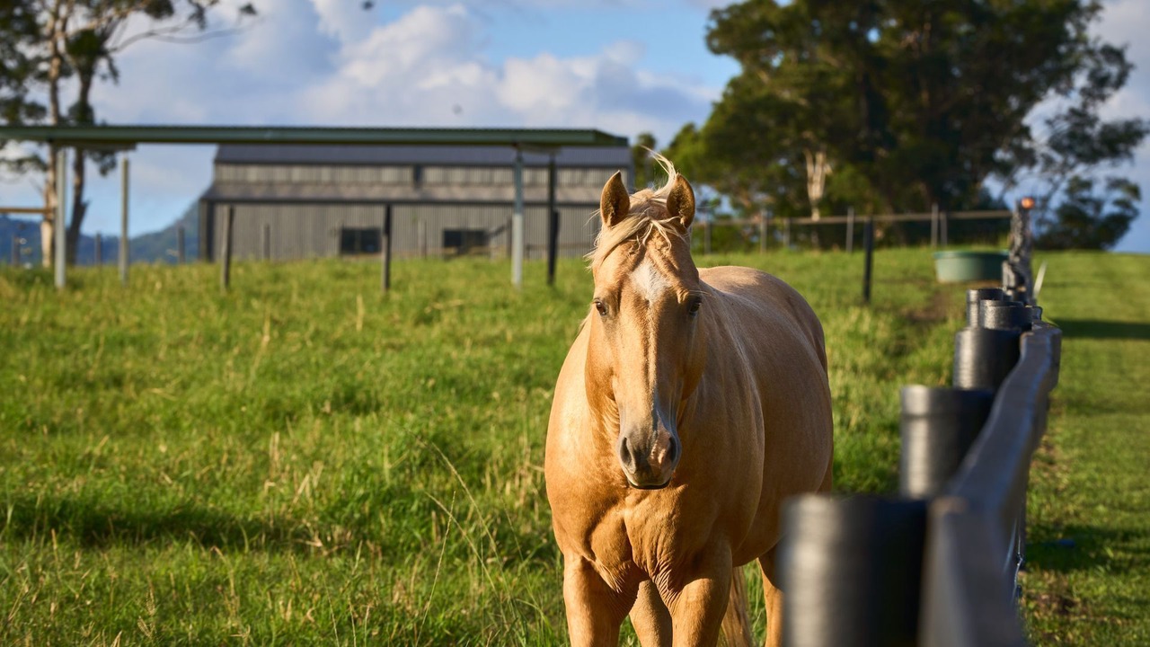 Photo of Outdoor in Kunghur