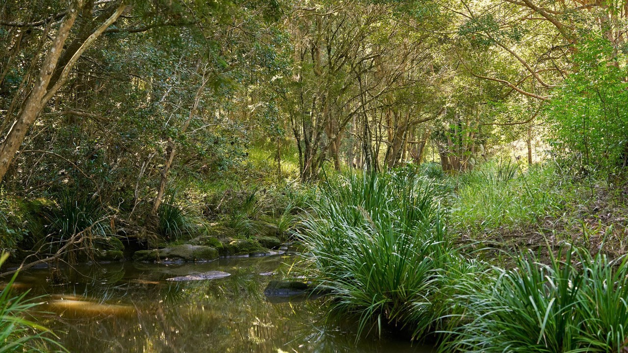 Photo of Outdoor in Kunghur