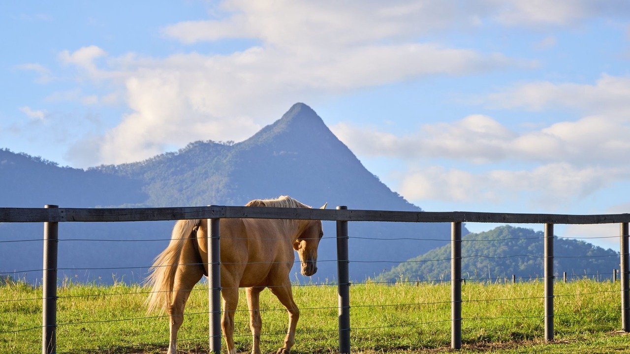Photo of Outdoor in Kunghur