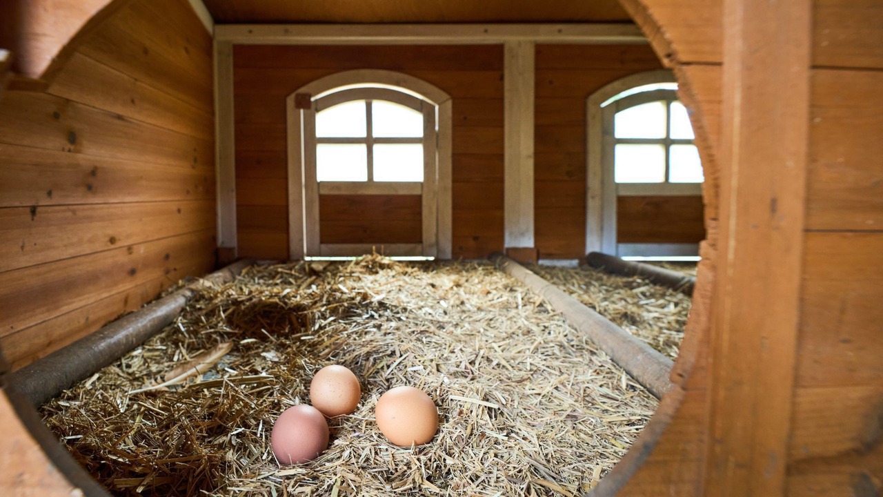 Photo of Others in Kunghur