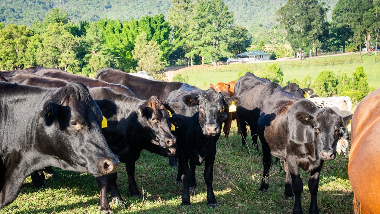 Photo of Outdoor in Kunghur